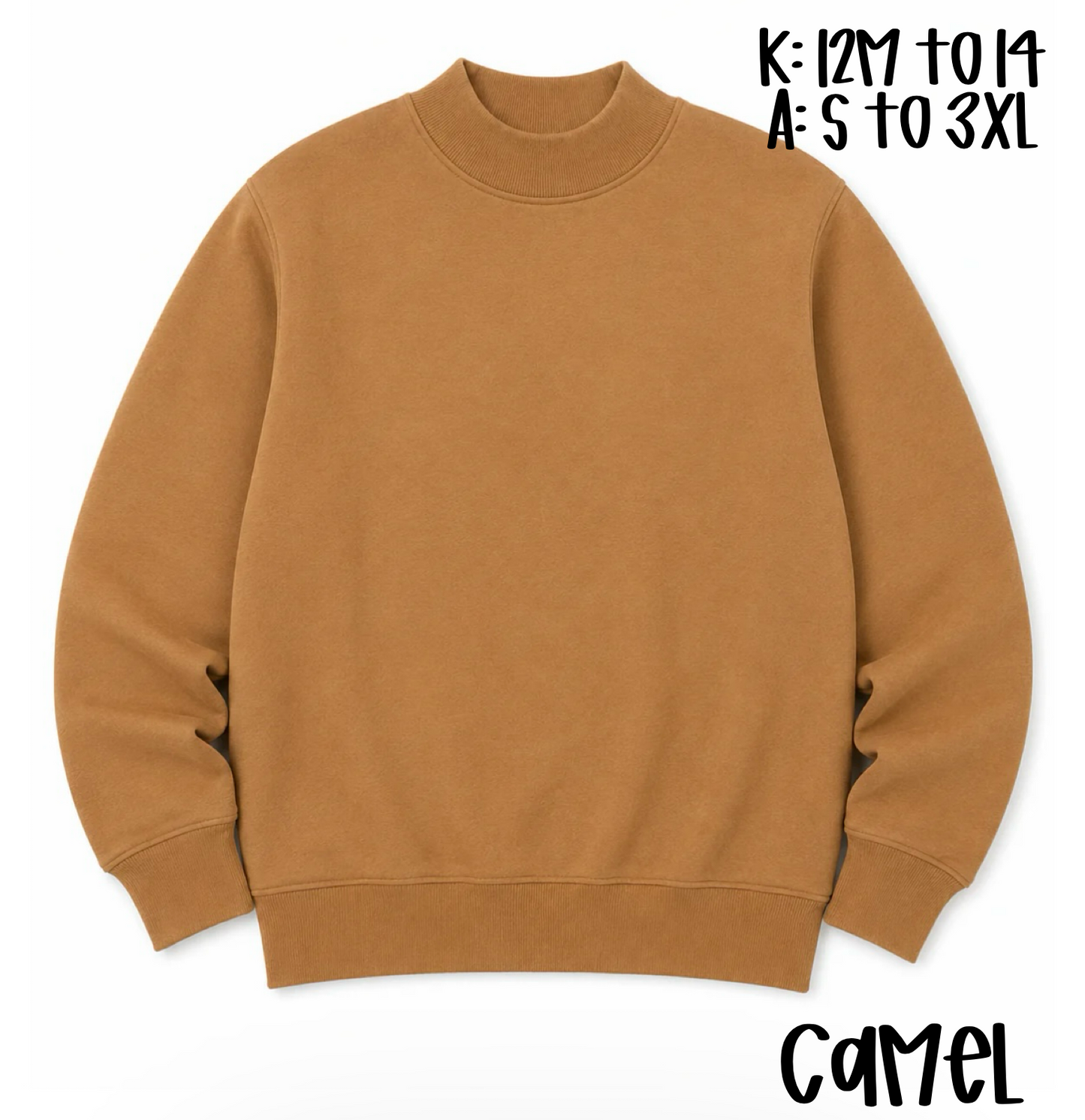 Kids Mock Neck Sweatshirt Preorder