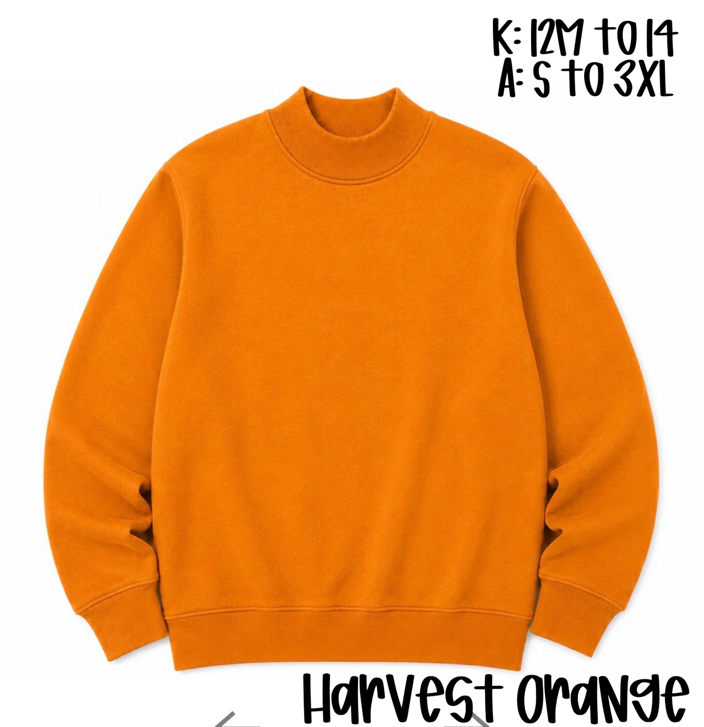 Kids Mock Neck Sweatshirt Preorder